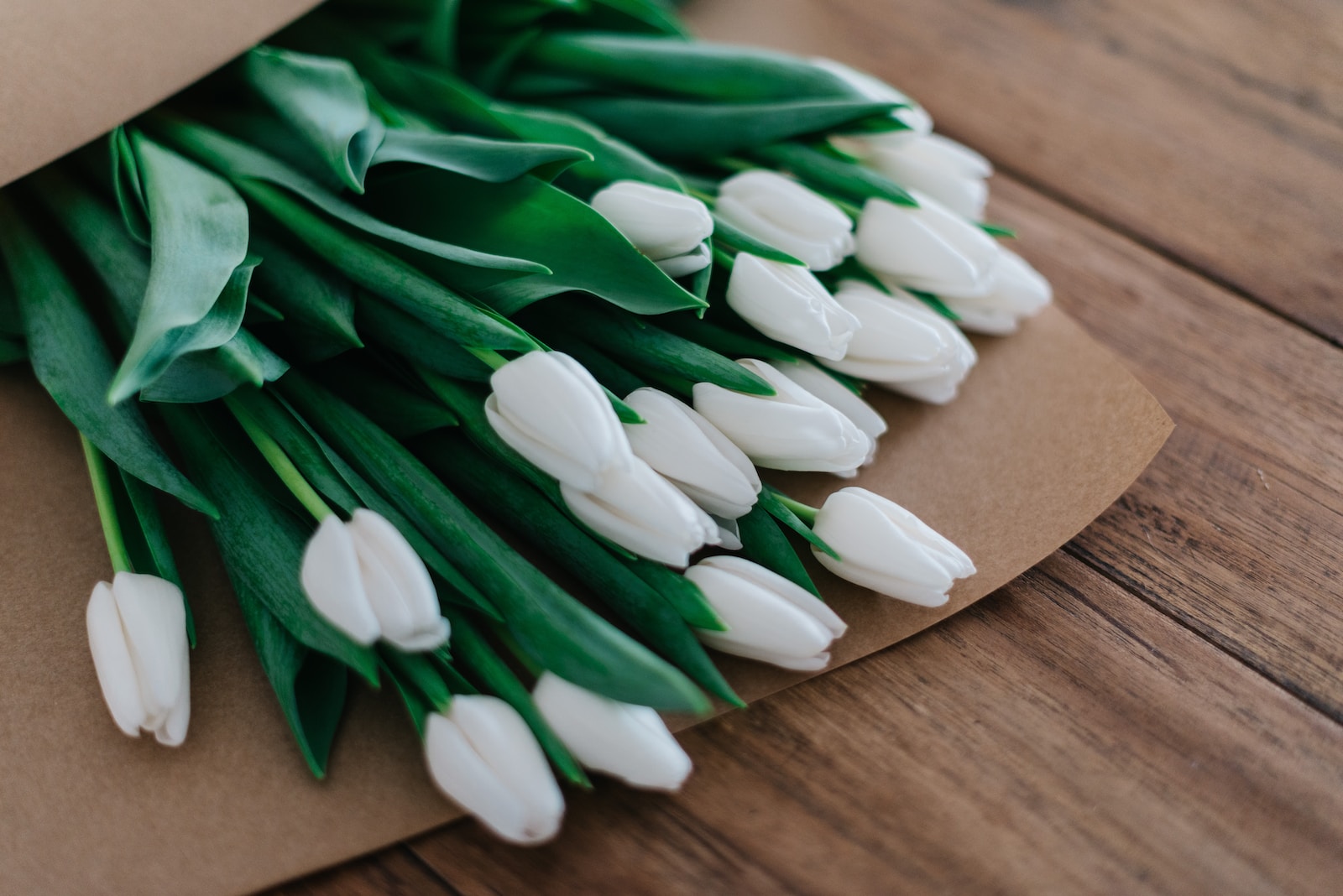Why Do Tulips Smell Bad? [Answered!]